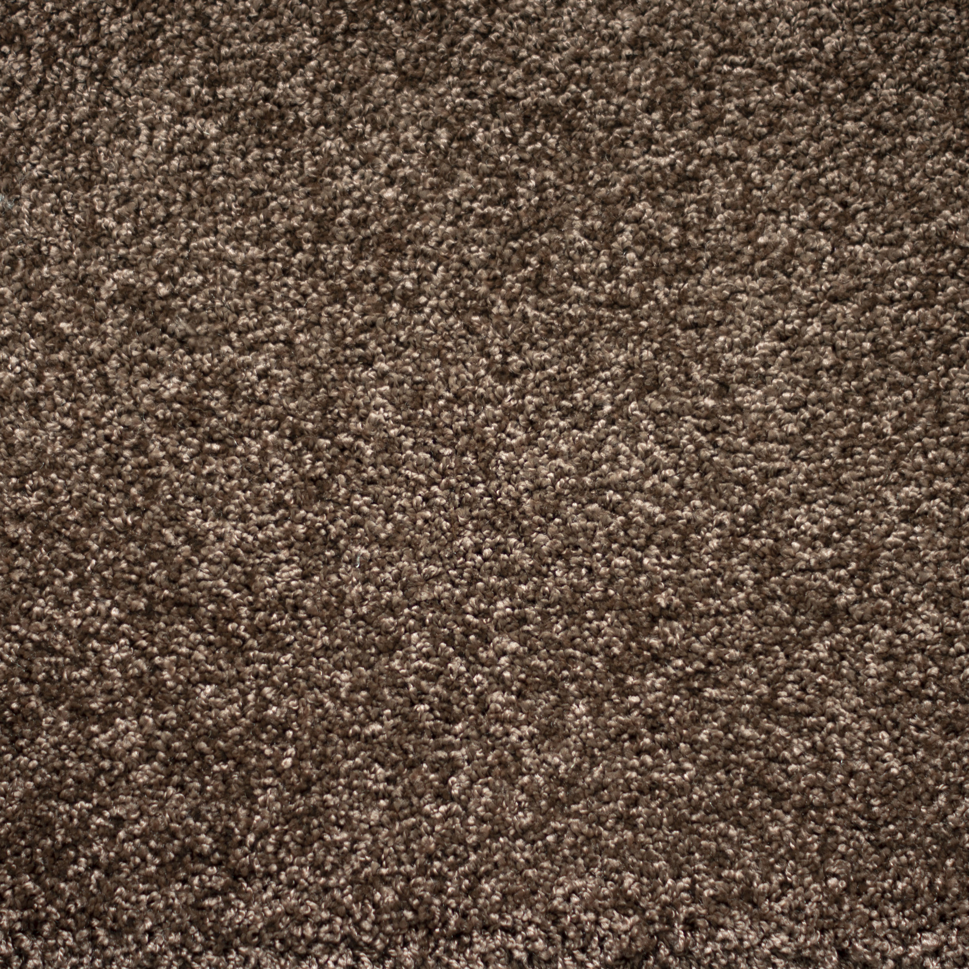 Ковролин "Зартекс" Tesoro 156 коричневый (4м) — купить в Березниках