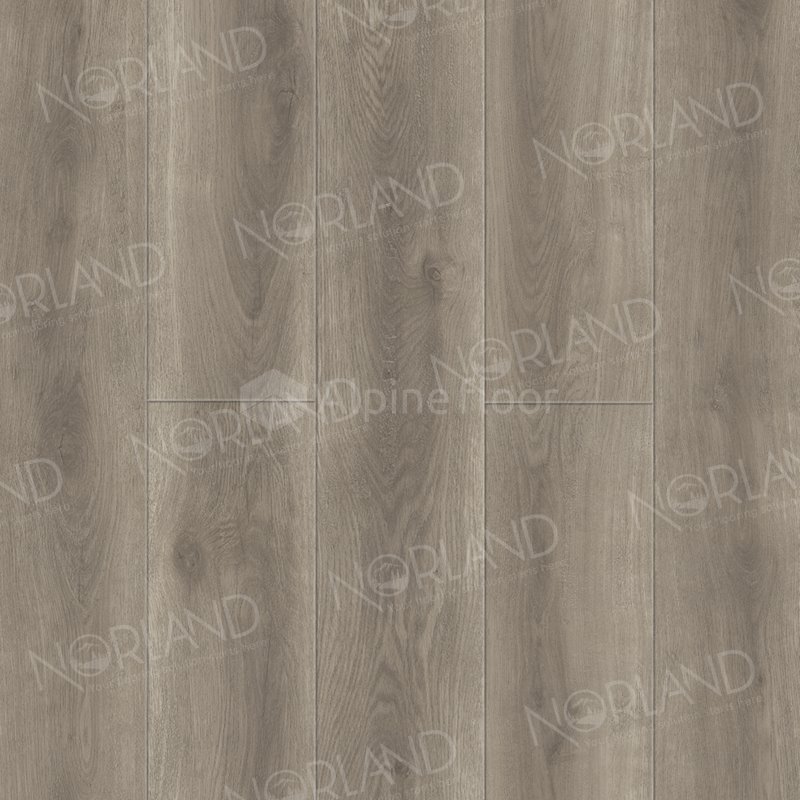 SPC Ламинат "Norland" Templet (1220*196*8 мм) — купить в Березниках