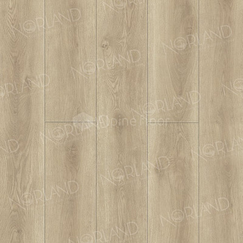 SPC Ламинат "Norland" Logen (1220*196*8 мм) — фото и характеристики